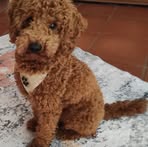 Profile Picture of Markus Walbaum (@Markus-Walbaum) on Facebook