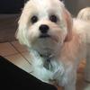 Profile Picture of matthewgatlin (@matthewgatlin6) on Tiktok