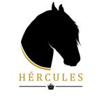 Hércules Caballo Frisón - Instagram Profile Picture of Hércules Caballo Frisón (@herculescaballofrison) on Instagram