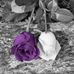 Profile Picture of Scott Downey (@scott.downey.94617) on Facebook