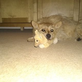 Profile Picture of George Colmer (@george.colmer.75) on Facebook