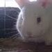 Profile Picture of daniel aggeler (@aggeler0509) on Pinterest