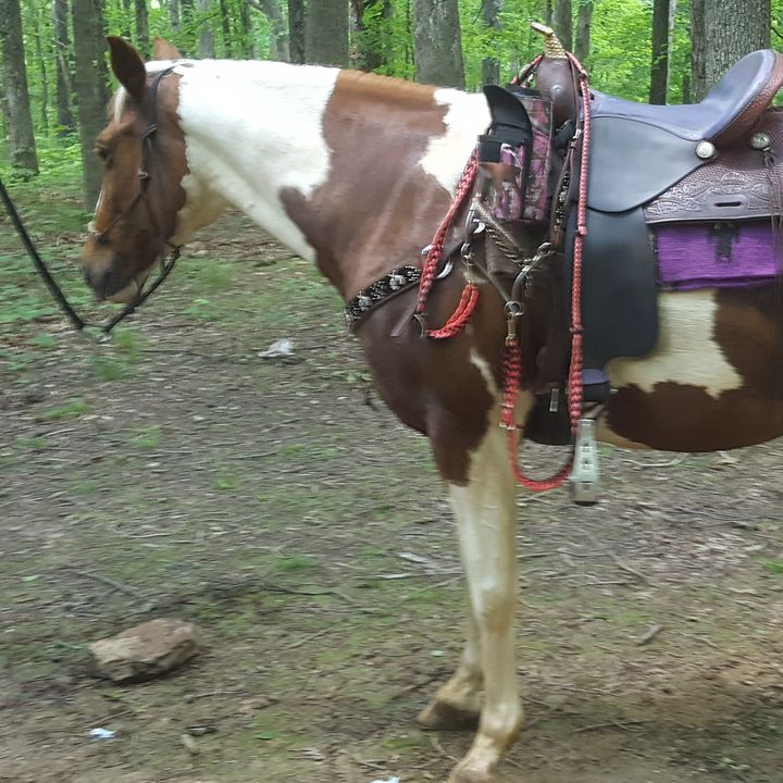 Profile Picture of Glenna Mcvaigh (@glennamcvaigh) on Tiktok