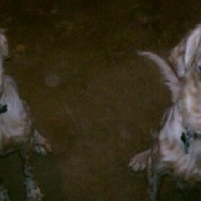 Profile Picture of Matthew Dorough (@DoroughMatt) on Twitter