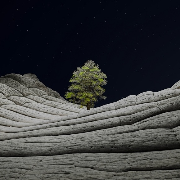 Profile Picture of Randy Keesee (@randykeesee) on Poshmark