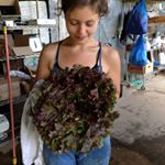 Profile Picture of Amelia Clements (@ameliaporterclements) on Instagram