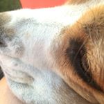 Profile Picture of Paula ist eine Prinzessin (@brigitte.paula) on Instagram