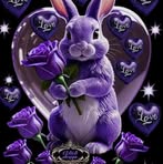 Profile Picture of Rachael Renee Turk (@rachael.wilson.90475) on Facebook