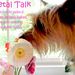 Profile Picture of Jean Starr (@petaltalk) on Pinterest