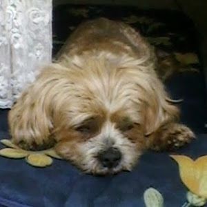 Profile Picture of S Weissgerber (@squater29) on Tiktok