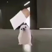 Profile Picture of Kristopher Alvarado (@kristopheralvarado) on Youtube