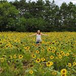 Stephenie Gilbert - Instagram Profile Picture of Stephenie Gilbert (@stepheniemm) on Instagram