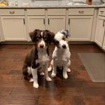 Profile Picture of James Whelchel (@jpwhelchel2018) on Instagram