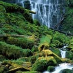 Profile Picture of Benjamin_York (@benjamin_yorks) on Instagram