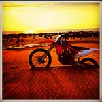 Profile Picture of Nancy Carpenter (@citriceri) on Instagram