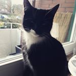 Profile Picture of Hailey Rüffle (@hailey_miesi) on Instagram