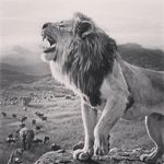 WINNER 🥇 - Instagram Profile Picture of WINNER 🥇 (@07follow2023) on Instagram