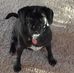 Profile Picture of Mike Painter (@mike.painter.3150) on Facebook