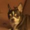 Profile Picture of David Ellerbee (@david.ellerbee.12) on Facebook