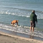 Profile Picture of Janet Shierling (@jlshierling) on Instagram