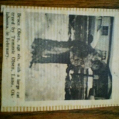 Profile Picture of Bruce Olson (@BWokie) on Twitter