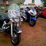 Profile Picture of Craig Richter (@craigrichter1098rkmjmjkl) on Instagram