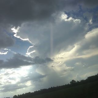 Profile Picture of Renee Bates (@renee.bates.739) on Facebook