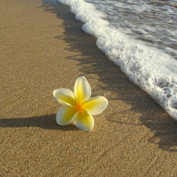 Profile Picture of Emma Tautua (@etautua007) on Poshmark