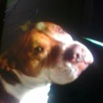 Profile Picture of Buddy Bryant (@buddybryant8) on Instagram