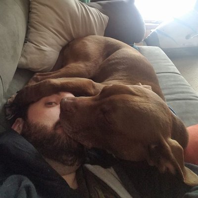 Profile Picture of Michael Lesmeister (@migeyles) on Twitter