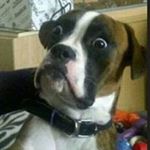 Profile Picture of Greg Hagen (@stoneman1963) on Instagram