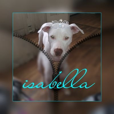 Profile Picture of Makayla Fleming (@MakaylaFleming7) on Twitter