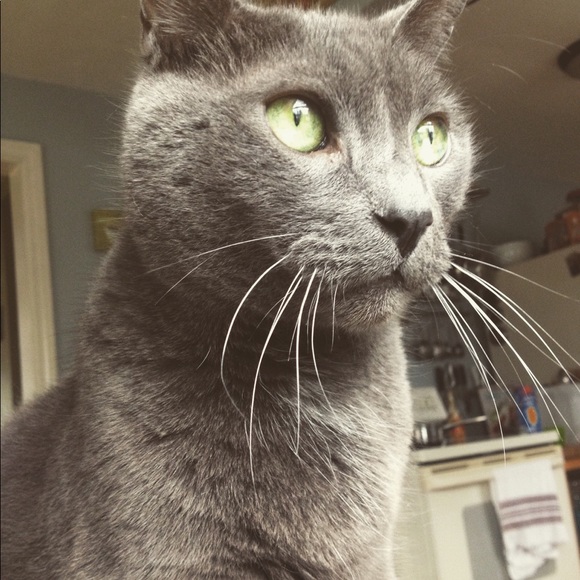 Profile Picture of Olivia Panciera (@betaruga) on Poshmark