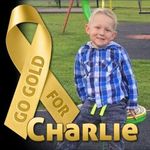 Profile Picture of Steve Molloy (@steve.molloy.121) on Instagram