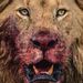 Profile Picture of Thomas Anderson (@zipflat1) on Pinterest