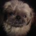 Profile Picture of Vaughn Huffman (@vaughn.huffman.12) on Facebook