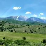 Profile Picture of Pat Cheek (@patcheek57) on Instagram