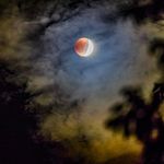 Profile Picture of Nicholas Whitman (@nicholaswhitman_photo) on Instagram