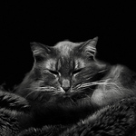 Catyack Photography - Flickr Profile Picture of Catyack Photography (@catyack photography) on Flickr