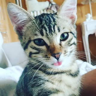 Profile Picture of Daniel Bischoff (@danielbischoff) on Instagram