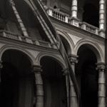 Profile Picture of Simon Nicholls (@sj_nicholls) on Instagram