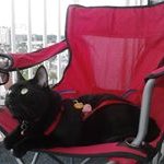 Profile Picture of 💜✂✂Tara Stieffenhofer✂✂💜 (@stylisttarastieffenhofer) on Instagram