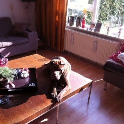 Profile Picture of Claudia Muller (@claudiamuller3) on Twitter