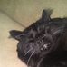 Profile Picture of Joseph Fisette Jr. (@joseph.qeobix.1) on Facebook