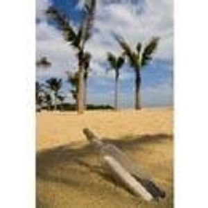 Profile Picture of Ericka Eason Kupiec (@erickakupiec) on Myspace