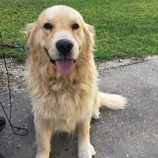 Profile Picture of Thomas Cannon (@thomas.cannon.5836) on Facebook