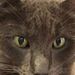 Profile Picture of RENEE Stubbs (@renee5065) on Pinterest