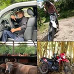 Profile Picture of Joel Durán (@Joel-Durán) on Facebook