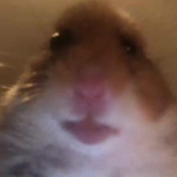 Profile Picture of thumbsdowngay69 (@alex_ruzicka_fanpage) on Tiktok