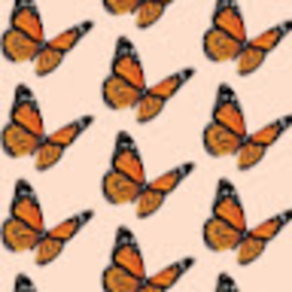 Profile Picture of Ellie Aasen (@ellieaasen) on Poshmark